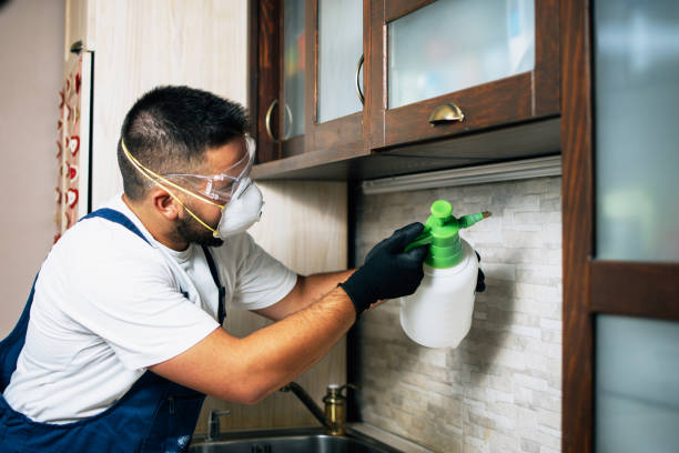 Best Affordable Pest Control Services  in Joseph, OR