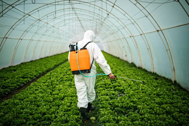 Best Emergency Pest Control  in Joseph, OR