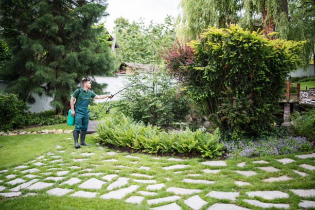 Best Pest Control for Homes  in Joseph, OR