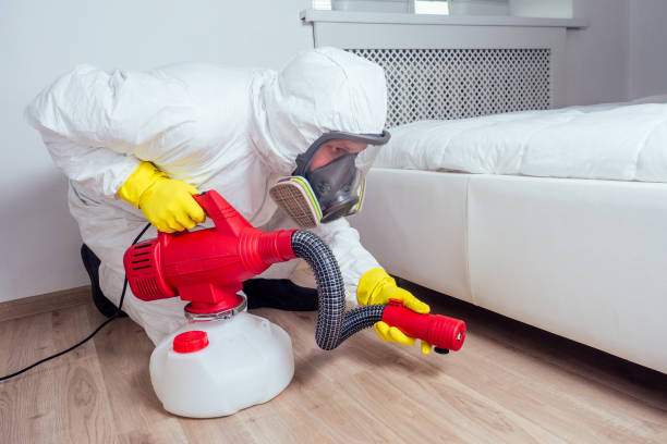 Best Flea Control Services  in Joseph, OR