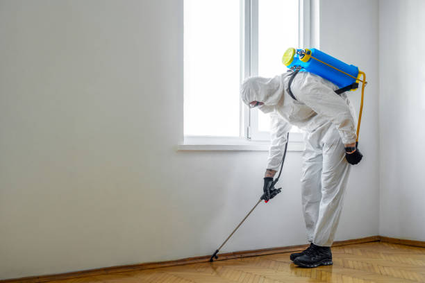 Professional Pest Control in Joseph, OR