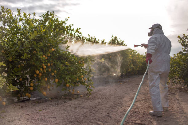 Best Best Pest Control Companies  in Joseph, OR