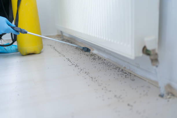 Best Mosquito Control Services  in Joseph, OR